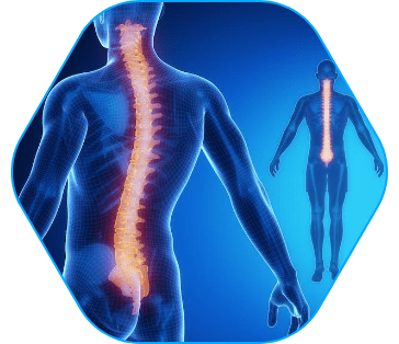 Bone and Joint Diseases