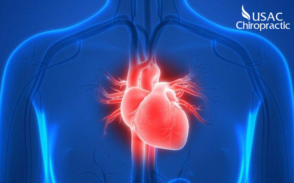 Nguyên nhân của triệu chứng đau nhức vùng ức là bệnh liên quan đến tim mạch