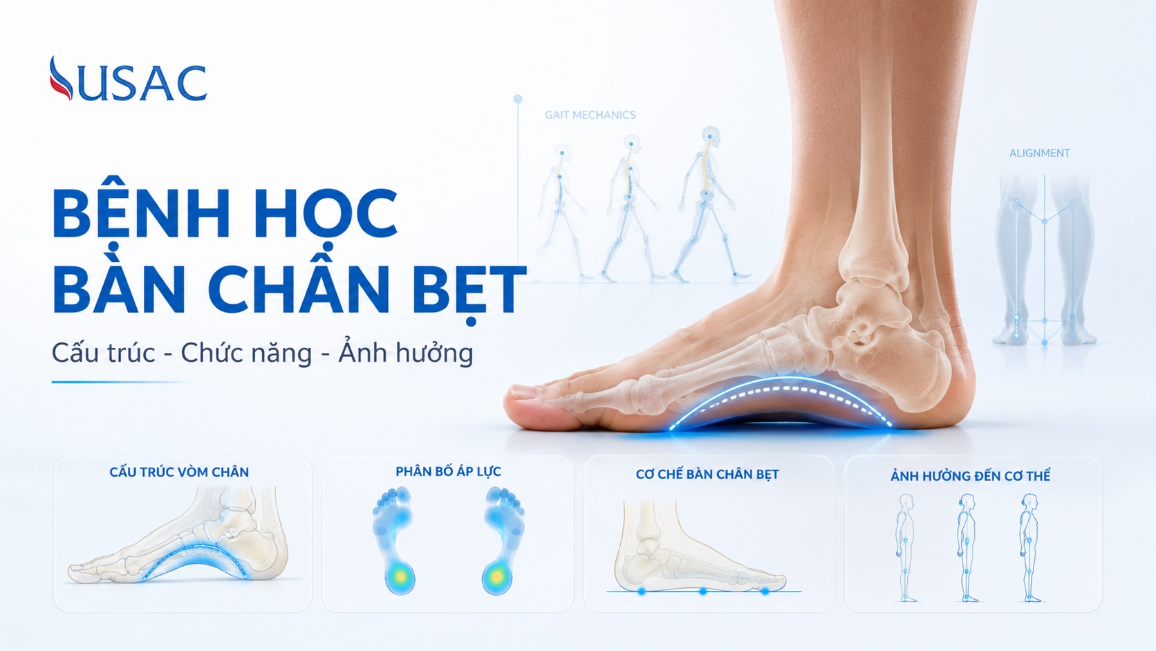 Bệnh Học Bàn Chân Bẹt Bệnh Học Bàn Chân Bẹt