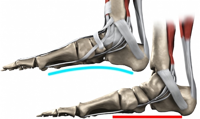 Khám Bàn Chân Bẹt Ở Hải Phòng Khám Bàn Chân Bẹt Ở Hải Phòng